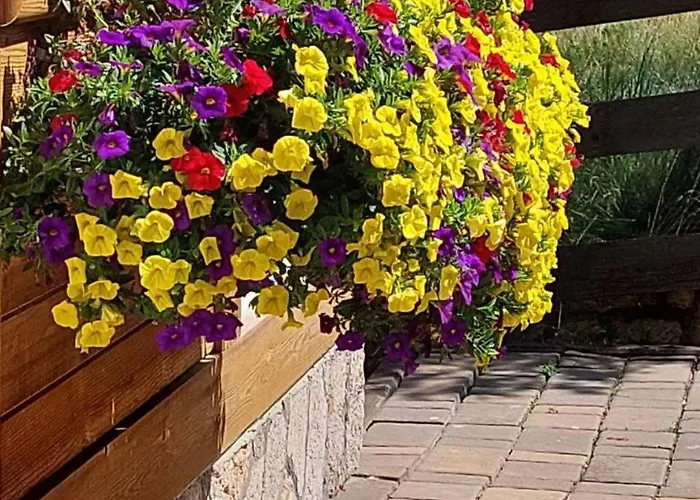 Api Komora Lodge Zlatibor